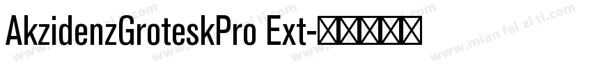 AkzidenzGroteskPro Ext字体转换